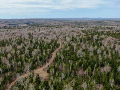 Maine Retreat on 160± Acres | 242 Bottle Lake Road, Springfield - image 9
