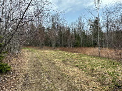 Maine Retreat on 160± Acres | 242 Bottle Lake Road, Springfield - image 38
