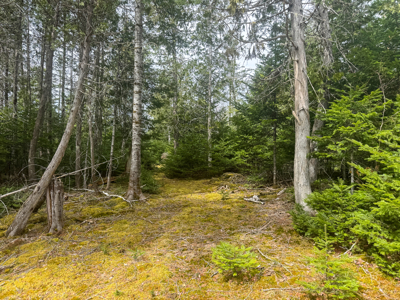 Maine Retreat on 160± Acres | 242 Bottle Lake Road, Springfield - image 46