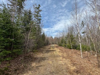 Maine Retreat on 160± Acres | 242 Bottle Lake Road, Springfield - image 37