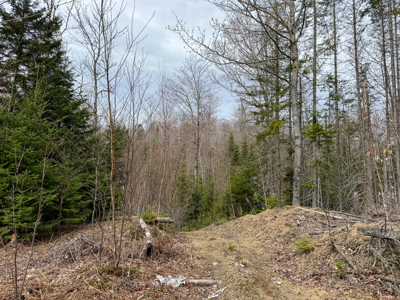 Maine Retreat on 160± Acres | 242 Bottle Lake Road, Springfield - image 43
