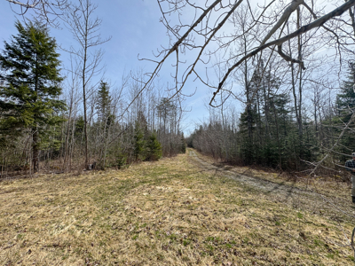 Maine Retreat on 160± Acres | 242 Bottle Lake Road, Springfield - image 40