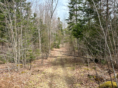 Maine Retreat on 160± Acres | 242 Bottle Lake Road, Springfield - image 42