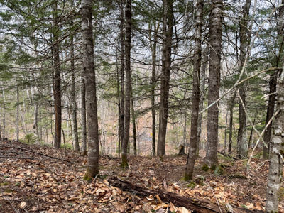 Maine Retreat on 160± Acres | 242 Bottle Lake Road, Springfield - image 45