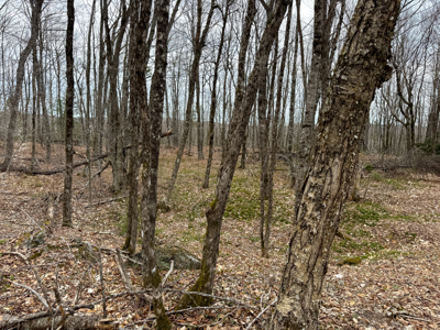 Maine Retreat on 160± Acres | 242 Bottle Lake Road, Springfield - image 48