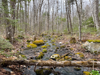 Maine Retreat on 160± Acres | 242 Bottle Lake Road, Springfield - image 49