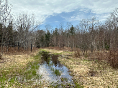 Maine Retreat on 160± Acres | 242 Bottle Lake Road, Springfield - image 36