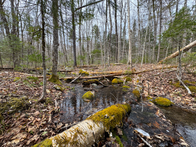 Maine Retreat on 160± Acres | 242 Bottle Lake Road, Springfield - image 47