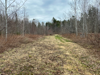 Maine Retreat on 160± Acres | 242 Bottle Lake Road, Springfield - image 39