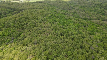 Land For Sale Near Truman Lake - image 25