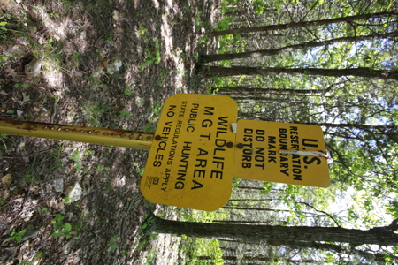Land For Sale Near Truman Lake - image 14