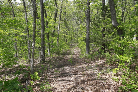 Land For Sale Near Truman Lake - image 19