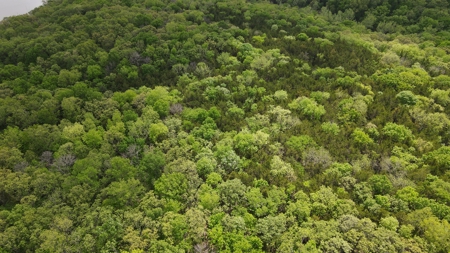Land For Sale Near Truman Lake - image 24