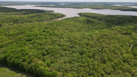 Land For Sale Near Truman Lake - image 27