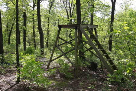 Land For Sale Near Truman Lake - image 18