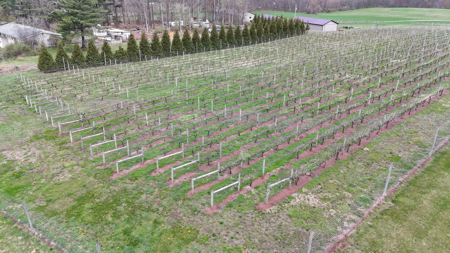 596 Harman Rd, Halifax, PA 17032 - image 32
