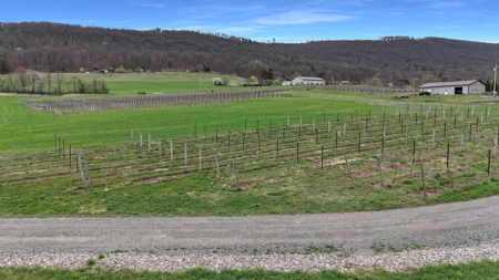 596 Harman Rd, Halifax, PA 17032 - image 29