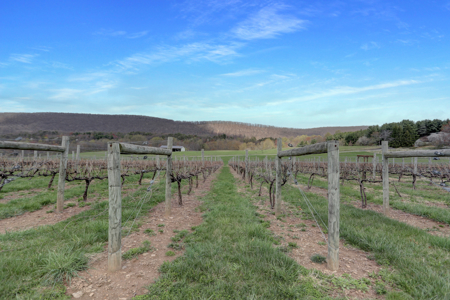 596 Harman Rd, Halifax, PA 17032 - image 4