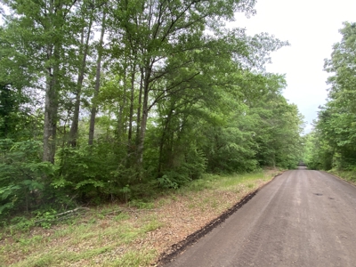 Large Timber Tract in Ore City, Texas - image 12