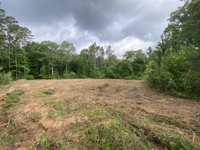 Large Timber Tract in Ore City, Texas - image 17