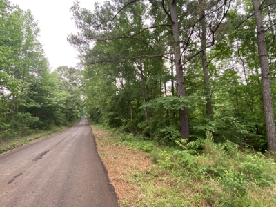 Large Timber Tract in Ore City, Texas - image 11