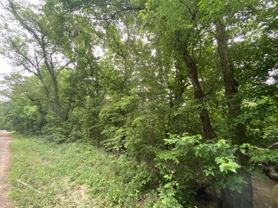 Large Timber Tract in Ore City, Texas - image 19