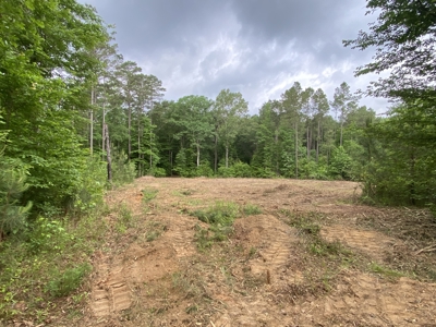 Large Timber Tract in Ore City, Texas - image 13