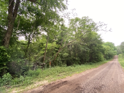 Large Timber Tract in Ore City, Texas - image 10