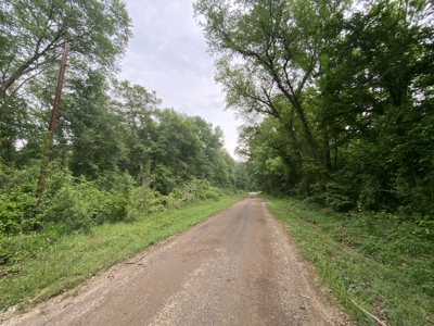 Large Timber Tract in Ore City, Texas - image 15