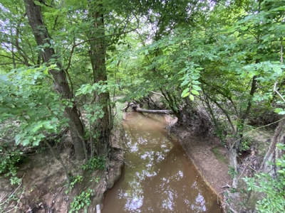Large Timber Tract in Ore City, Texas - image 2