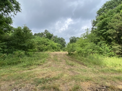 Large Timber Tract in Ore City, Texas - image 1