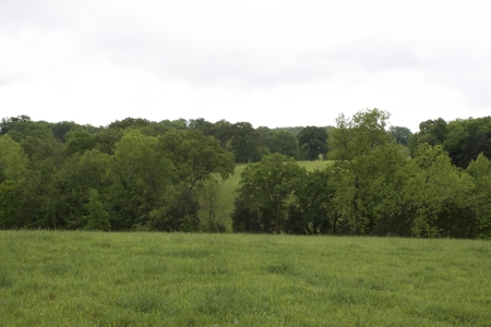 9 Acre Land/Lot in Gilbert, Searcy County, Ar For Sale Hwy Fronta - image 12