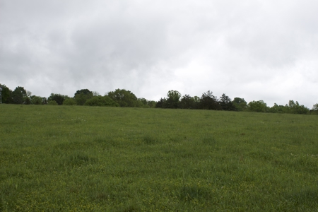 9 Acre Land/Lot in Gilbert, Searcy County, Ar For Sale Hwy Fronta - image 5