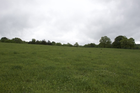 9 Acre Land/Lot in Gilbert, Searcy County, Ar For Sale Hwy Fronta - image 7