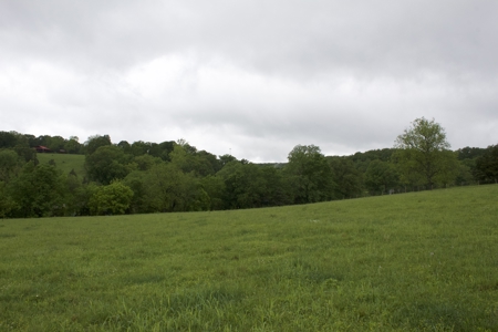 9 Acre Land/Lot in Gilbert, Searcy County, Ar For Sale Hwy Fronta - image 9