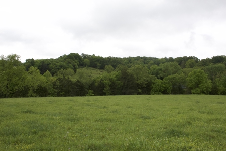 9 Acre Land/Lot in Gilbert, Searcy County, Ar For Sale Hwy Fronta - image 8