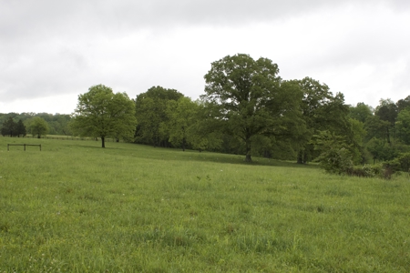 9 Acre Land/Lot in Gilbert, Searcy County, Ar For Sale Hwy Fronta - image 11