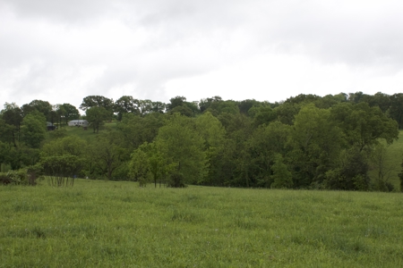 9 Acre Land/Lot in Gilbert, Searcy County, Ar For Sale Hwy Fronta - image 10