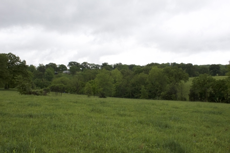 9 Acre Land/Lot in Gilbert, Searcy County, Ar For Sale Hwy Fronta - image 6