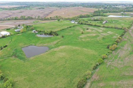 41.7 Acres m/l with Building, Utilities & Equipment - image 37