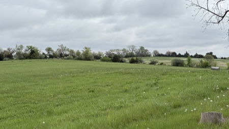 41.7 Acres m/l with Building, Utilities & Equipment - image 28