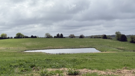 41.7 Acres m/l with Building, Utilities & Equipment - image 24