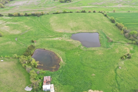 41.7 Acres m/l with Building, Utilities & Equipment - image 47
