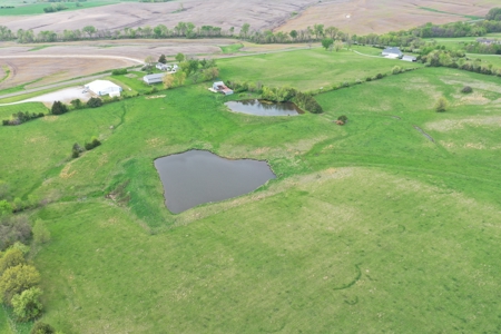 41.7 Acres m/l with Building, Utilities & Equipment - image 42