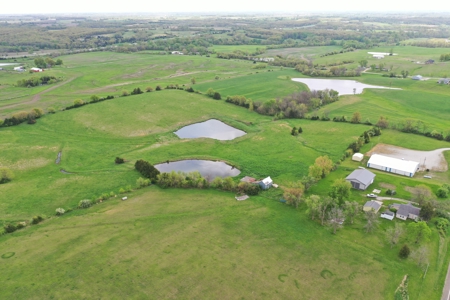 41.7 Acres m/l with Building, Utilities & Equipment - image 43