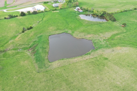 41.7 Acres m/l with Building, Utilities & Equipment - image 46