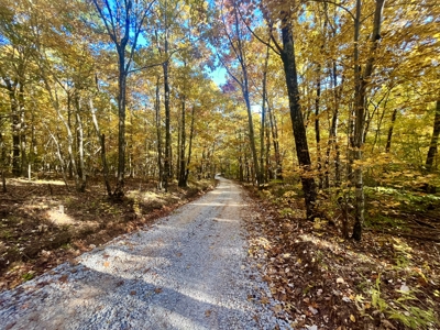 Newton County 20 Acres For Sale Borders Ozark National Forest - image 4