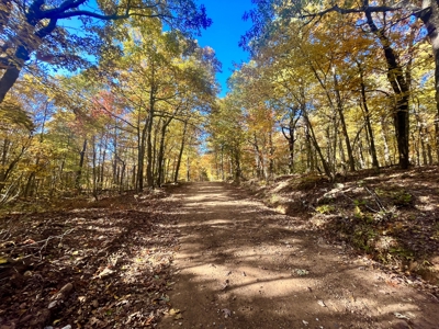 Newton County 20 Acres For Sale Borders Ozark National Forest - image 13