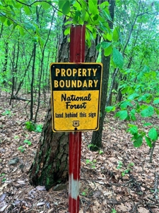 Newton County 20 Acres For Sale Borders Ozark National Forest - image 3