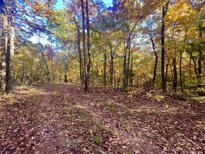 Newton County 20 Acres For Sale Borders Ozark National Forest - image 11